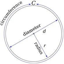 Circle Illustration